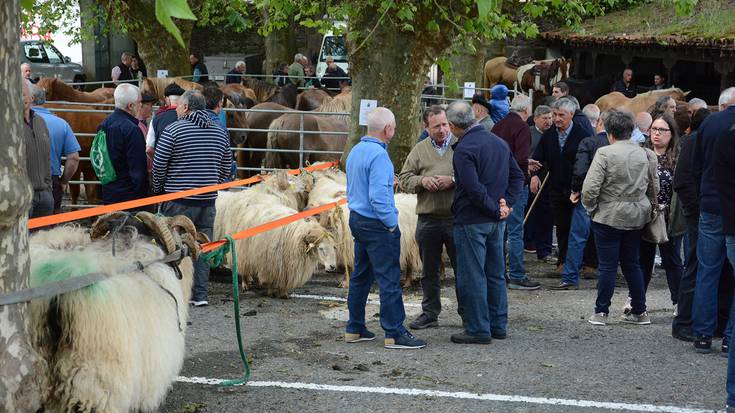 Doneztebeko Udaberriko Feria maiatzaren 10ean