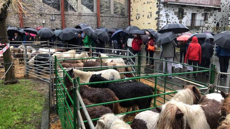 Euriari aurre eginez 224 azienda plazaratu dituzte Lesakako feria egunean