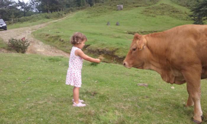 Nahiak maite ditu animaliak