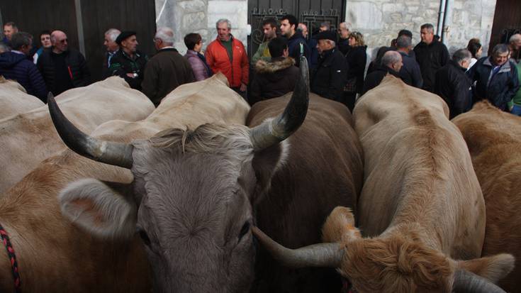 Lesakako feriak ere bertan behera utzi dituzte