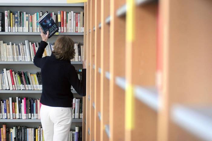 Heldu den astelehenean irekiko dute Lesakako liburutegia