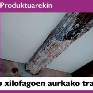 Xilofagoen aurkako tratamenduak