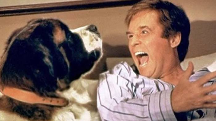 ‘Beethoven’ filma proiektatuko dute martxoaren 20an Lesakan