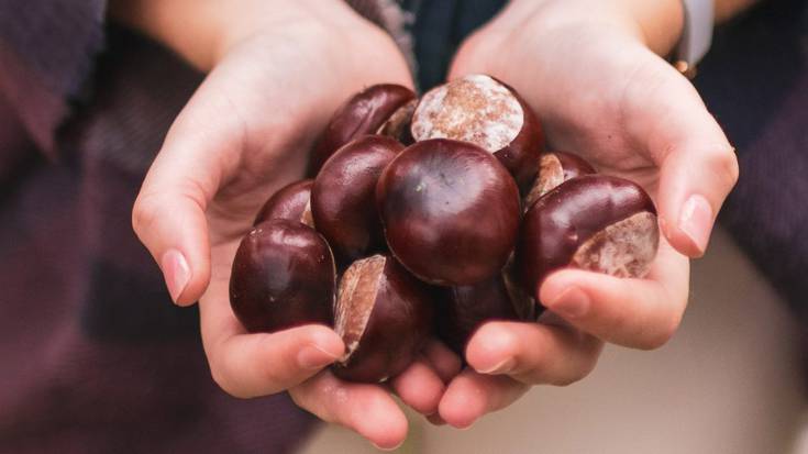 Gaztaina erre jatea eginen dute Lesakako jubilatuek abenduaren 6an