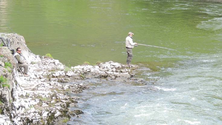 Bidasoan izokina harrapatzeko baimena eska daiteke apirilaren 9tik aitzinera