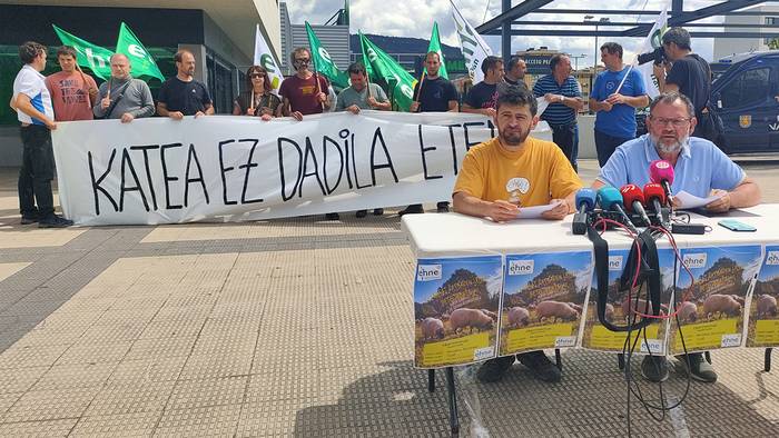 Elikadura Katearen Legea ez betetzeagatik ardi latxaren sektorea krisian dagoela ohartarazi du EHNEk