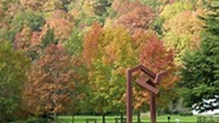 Bertiz Jaurerriko parke naturaleko oihanean barna