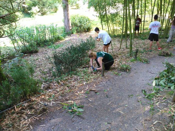 Natur parke batean egiten den lehen lan-kanpalekua egiten ari dira Mundu osoko gazteak Bertizen