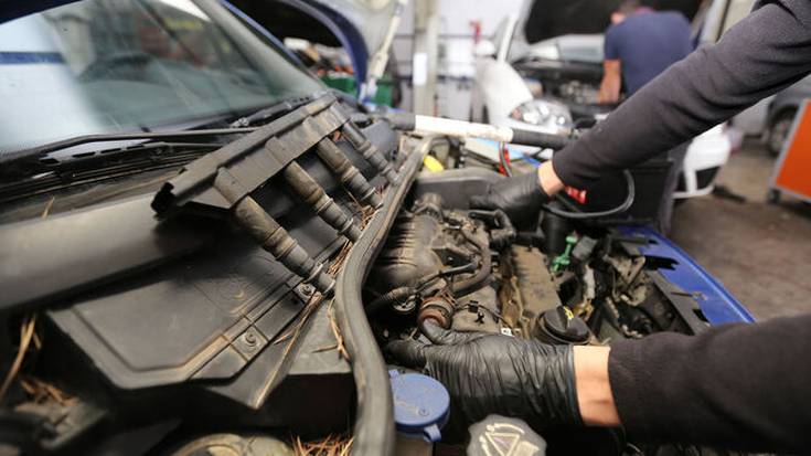 Gure auto tailerra_Argazkia