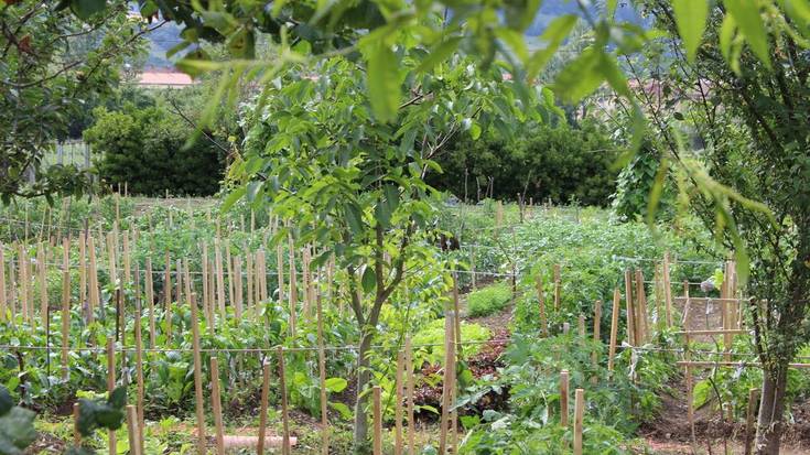 Nekazaritza biodinamikoa: ekainaren 18tik uztailaren 2ra bitartekoaz elean