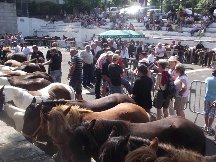 Pottokaren Besta ospatuko dute uztailaren 29an Saran