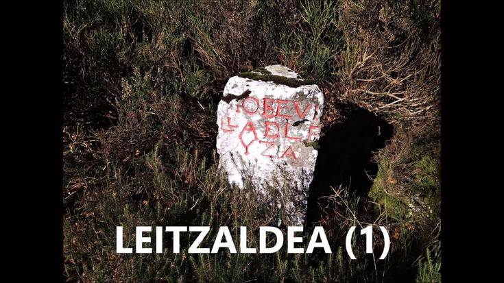 Leitzaldeko mendietan hartutako argazkiak, Mikel Illarregiren eskutik