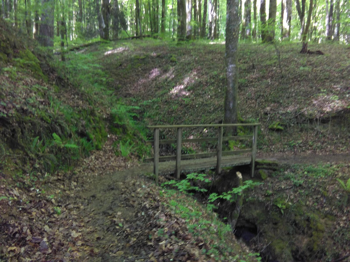Emakume bat zauritua Bertizko Natur Parkean, paseatzen ari zela zuhaitz bat gainera erorita