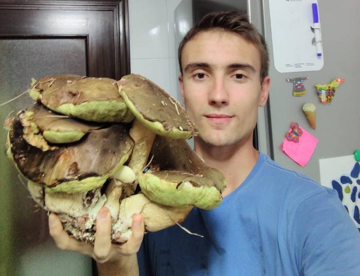 16 onddoko anduia topatu dute Arraiozen