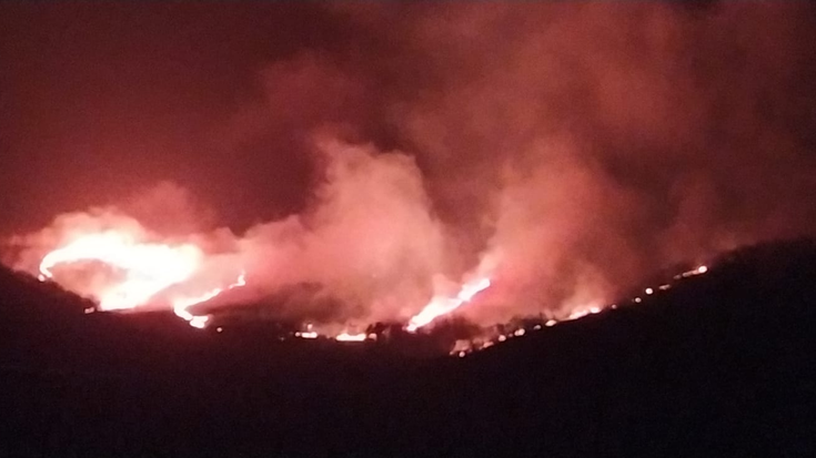 Gauez eta hego haizearekin, sute handi bat hedatu da Oteixon eta Bertiz aldean