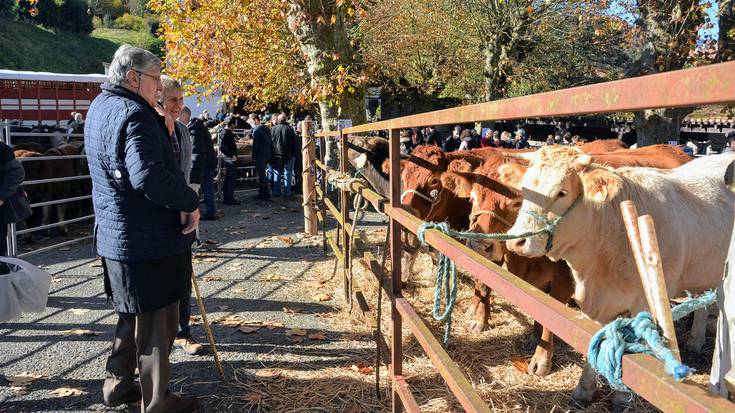 Doneztebeko feria egunerako ia dena prest du udalak