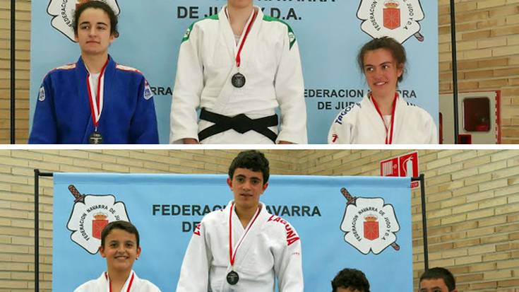 Bertze bi domina eskuratu dituzte Errekako judokek Nafarroako Txapelketan