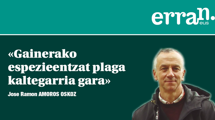 Seigarren suntsipen masiboa