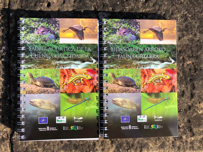 Bidasoko ureko fauna, Nafarroako Gobernuaren argitalpen berri batean ikusgai