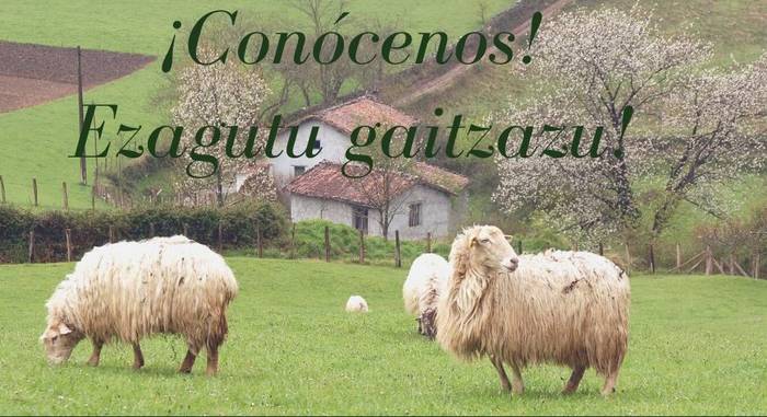 Ezagutu gaitzazu! kanpaina abiatu du Baztan-Bidasoa Turismoa elkarteak