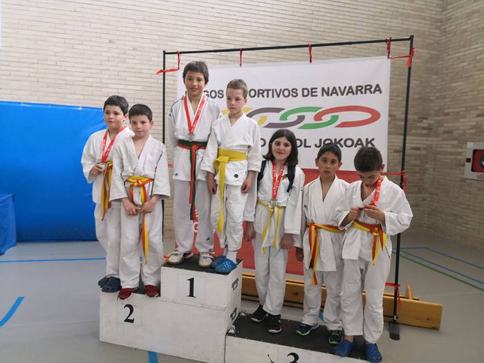 Emaitza onak lortu dituzte Errekako judokek Nafarroako Kirol Jokoetan