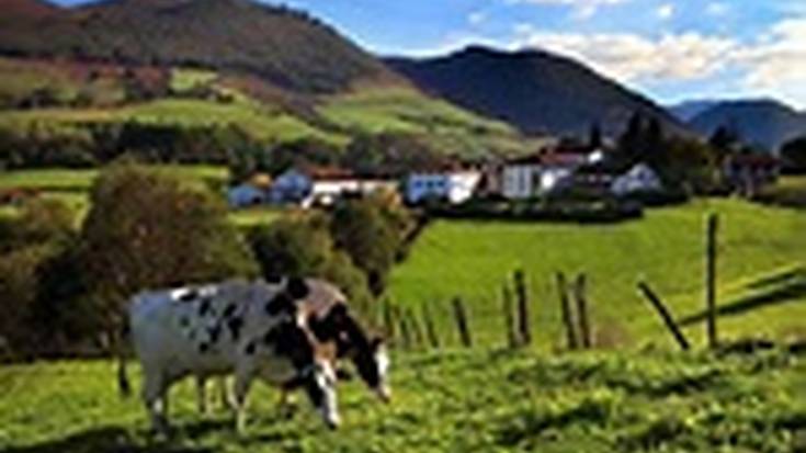 Beirazko ontziak berrerabiletzeko ahaleginean