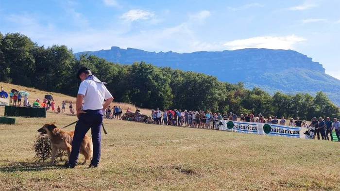 Nafarroako 55. Artzain Eguna ospatuko dute abuztuaren 27an Uharte Arakilen