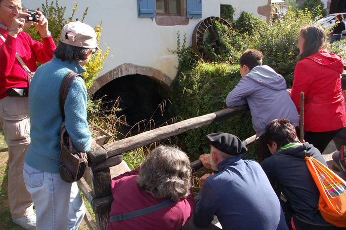 Bisita gidatuen eskuorria argitaratu du Baztan-Bidasoa Turismo Elkargoak