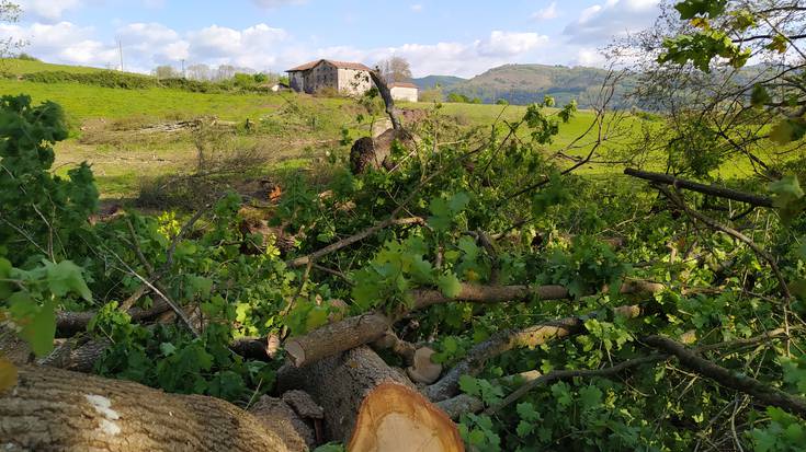 «UPNk eta Geroa Baik hartutako erabakiek ekarri gaituzte hona»
