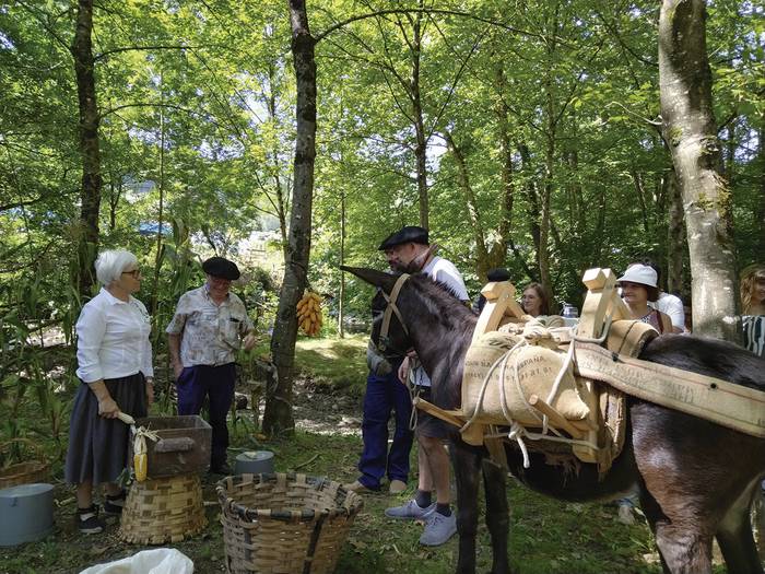 Bi mila lagunek parte hartu dute Lursareak eta Nafarroa Ezagutu Sareak udan sustatutako jardueretan