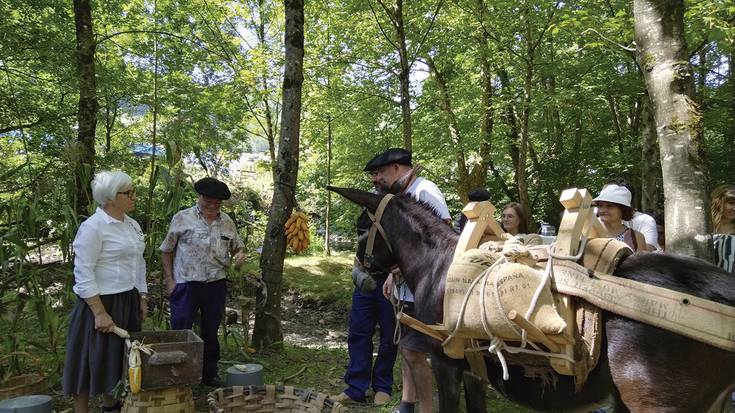 Bi mila lagunek parte hartu dute Lursareak eta Nafarroa Ezagutu Sareak udan sustatutako jardueretan