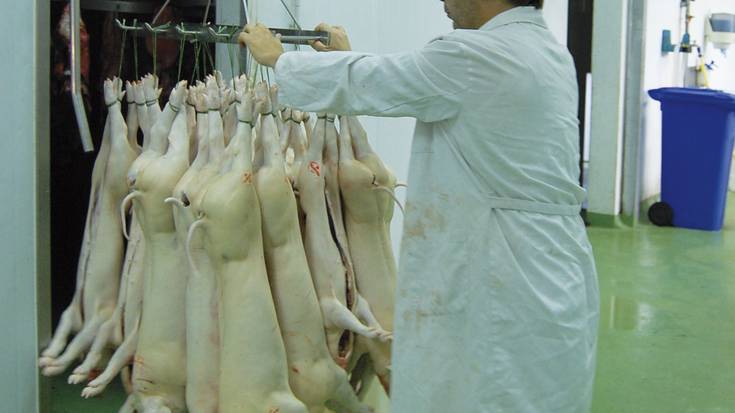 Baztango Navarra Sumak irregulartasunak ikusten ditu Loizu hiltegiaren kudeaketan