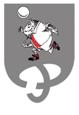 Helduen bi talde zelaira atera ditu Doneztebe Futbol Taldeak