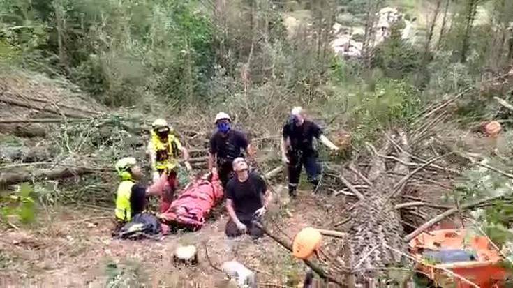 Amezti aldean zuhaitz batek kolpatuta zauritu den langilea erreskatatu dute helikopteroan