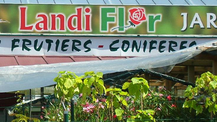LANDIFLOR