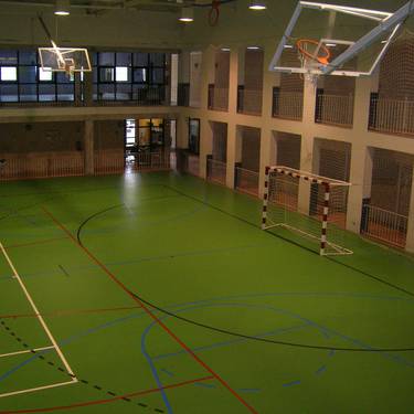 Kirol anitzeko pista