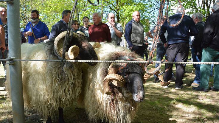 Baztango Udaberriko feria apirilaren 26an ospatuko da