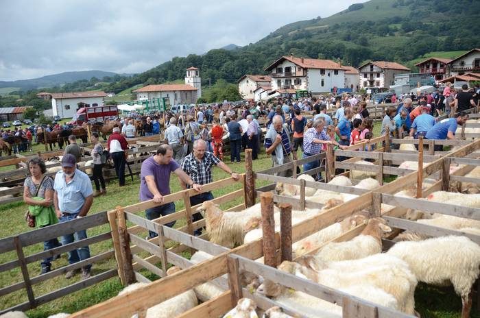 XLIII. Artzain Zakur lehiaketa eta  XVI. Ardi erakusketa eginen dituzte abuztuaren 15ean Amaiurren