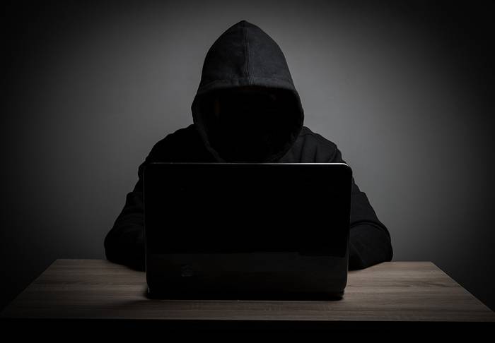 Internet bidezko iruzurrengatik 1.583 salaketa tramitatu ditu Foruzaingoak 2020an
