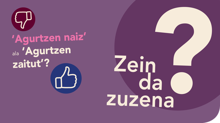‘*Agurtzen naiz’ ala ‘Agurtzen  zaitut’?