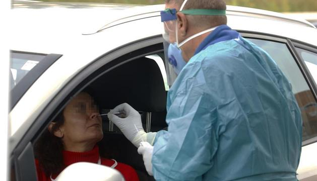 Lau positibo gehiago atzeman dituzte; bi Bortzirietan eta bana Leitzako eta Elizondoko eremuetan