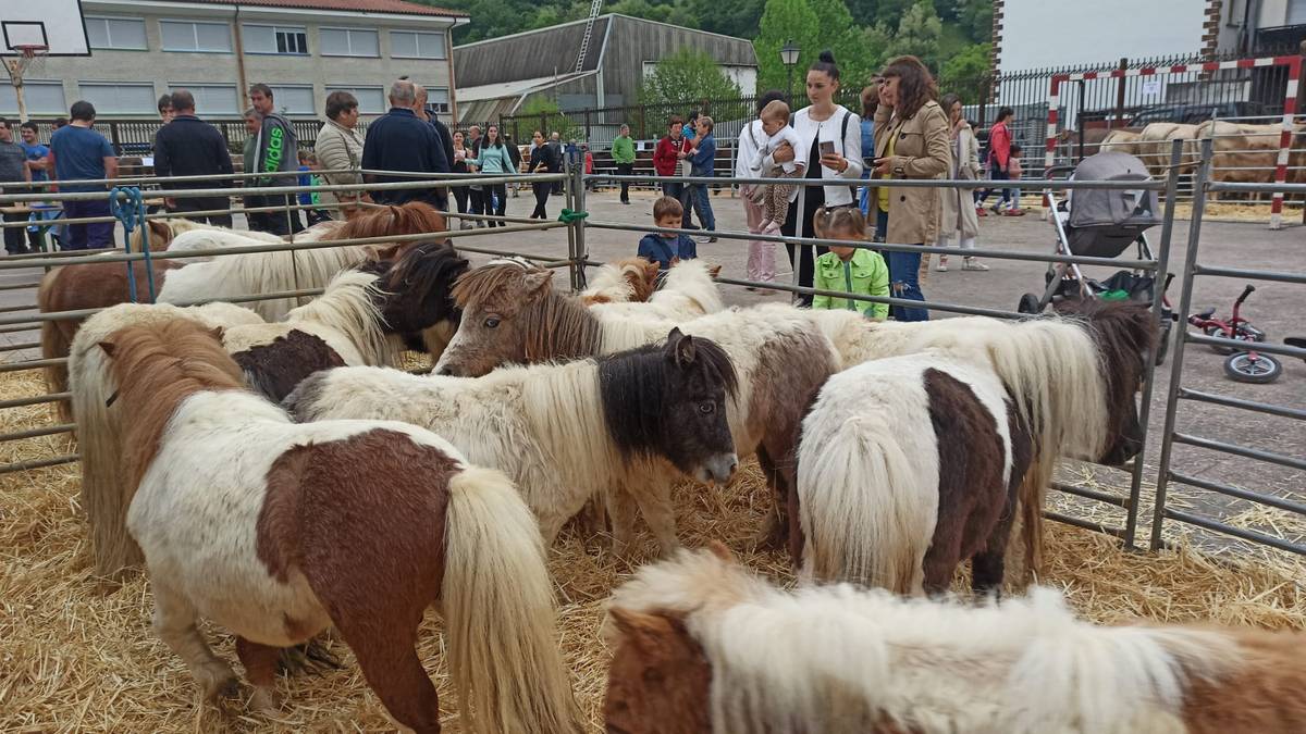Giro bustiarekin iragan da Berako IX. Azienda Feria