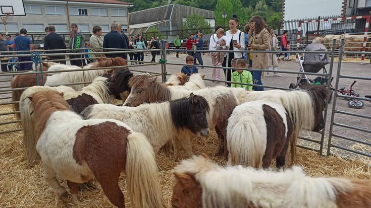 Arrakastasua suertatu da Berako VII. azienda erakusketa