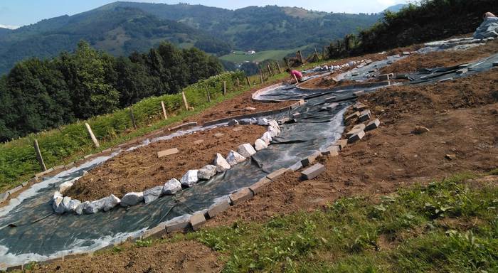 Igande honetan inauguratuko dute Emakumearen Oroimen Baratzea Arantzan