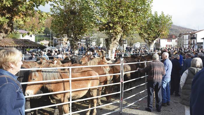Ortziralean eginen dute Doneztebeko feria