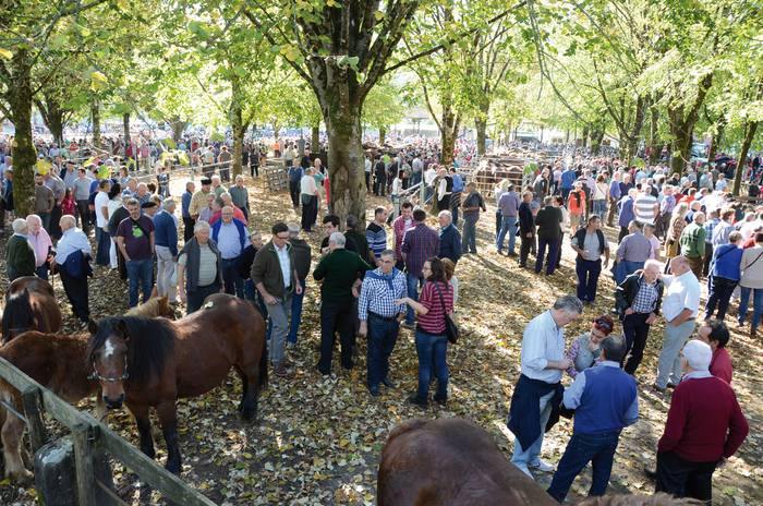 Udazkeneko lehen azienda feria ospatuko dute Elizondon urriaren 27an eta 28an