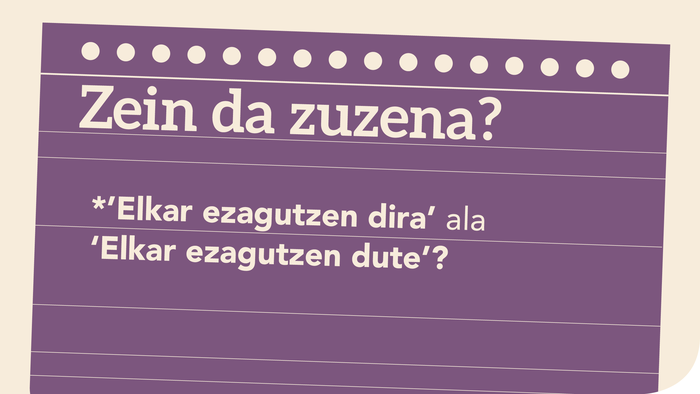 *’Elkar ezagutzen dira’ ala ‘Elkar ezagutzen dute’?
