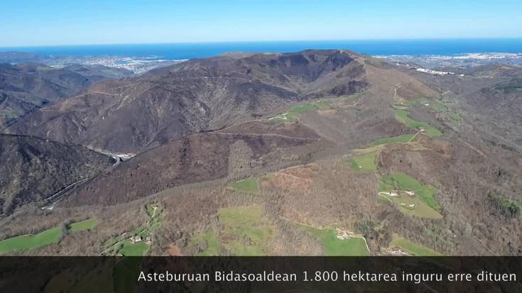 [Bideoa] Asteburuko suteak mendietan utzitako ondorioak ederki ikusten dira airetik