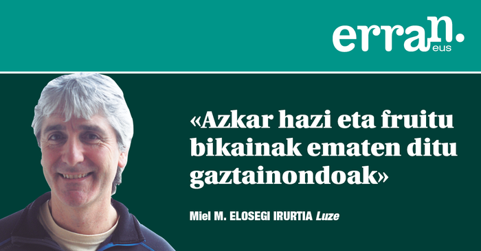 Gaztainondoei bultzada