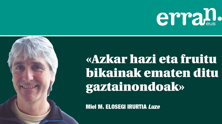 Gaztainondoei bultzada